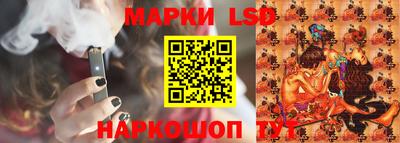 индика Можга