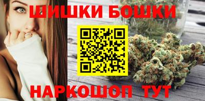 индика Можга