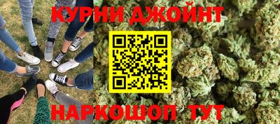 индика Можга