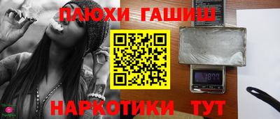 индика Можга