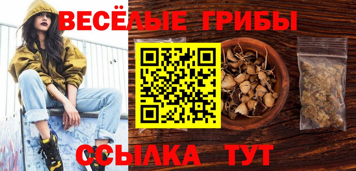 Псилоцибиновые грибы Psilocybine cubensis Анапа